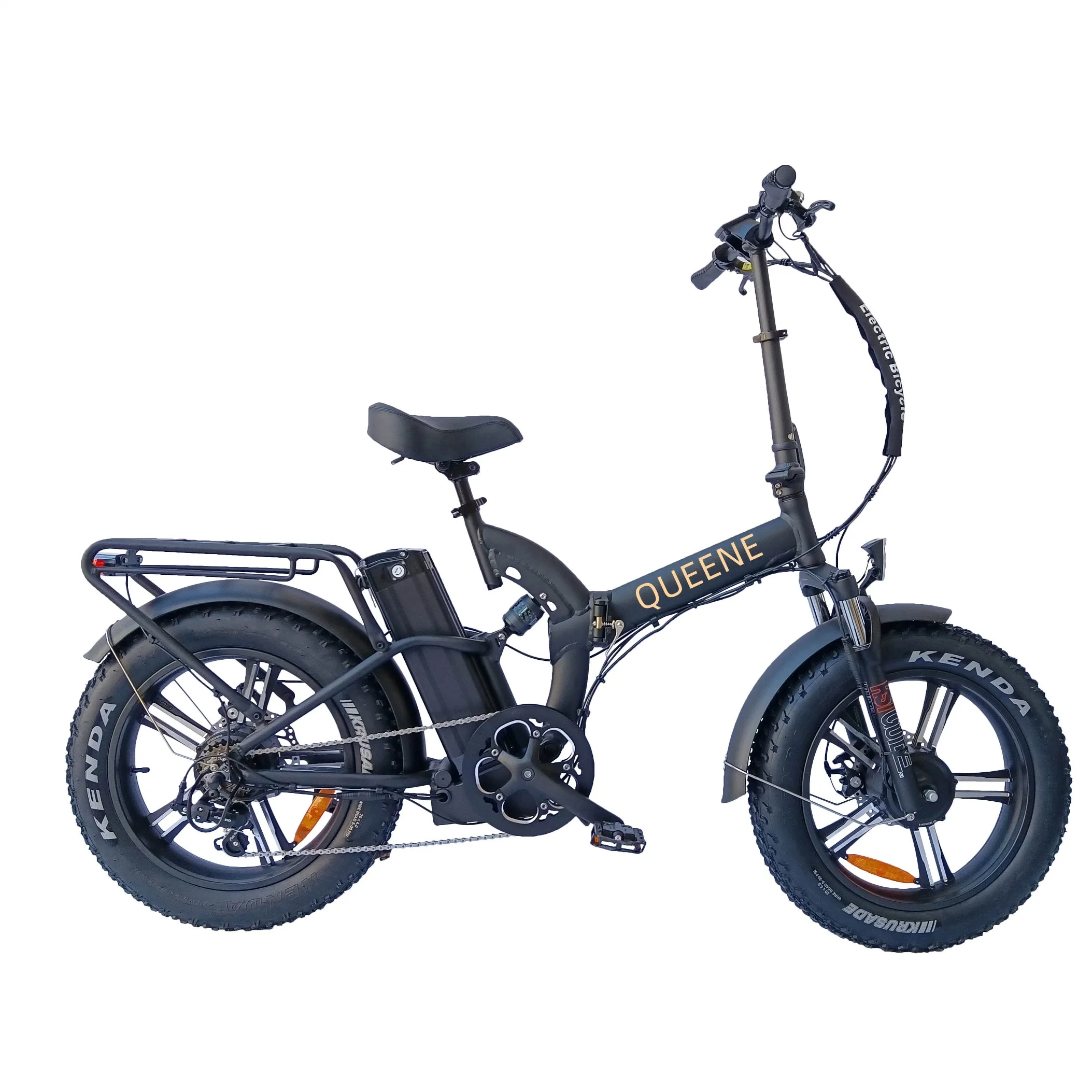 Queene/High Grade Powerful Aluminum Alloy Lithium Ebike Snow Electric Bike