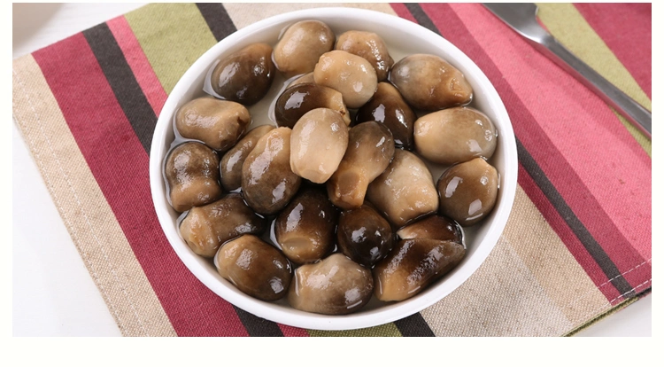 Fresh Vegetables Easy Open OEM Brand Wholesale/Supplier Canned Straw Mushroom