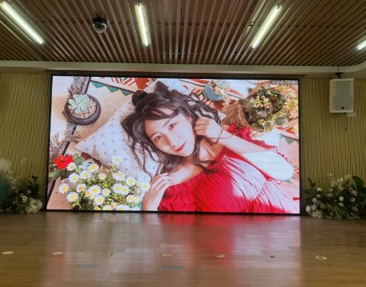 Indoor LED Display Panel P2 P2.5 P3 P3.9 P4.8 High Brightness HD Big Screen for Meeting/ Ads LED Video Wall