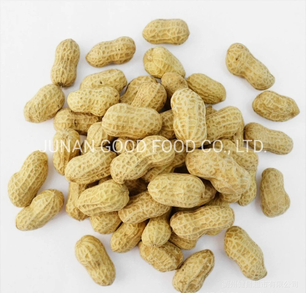 Groundnuts in Shell/Without Shell/Peanut/Raw