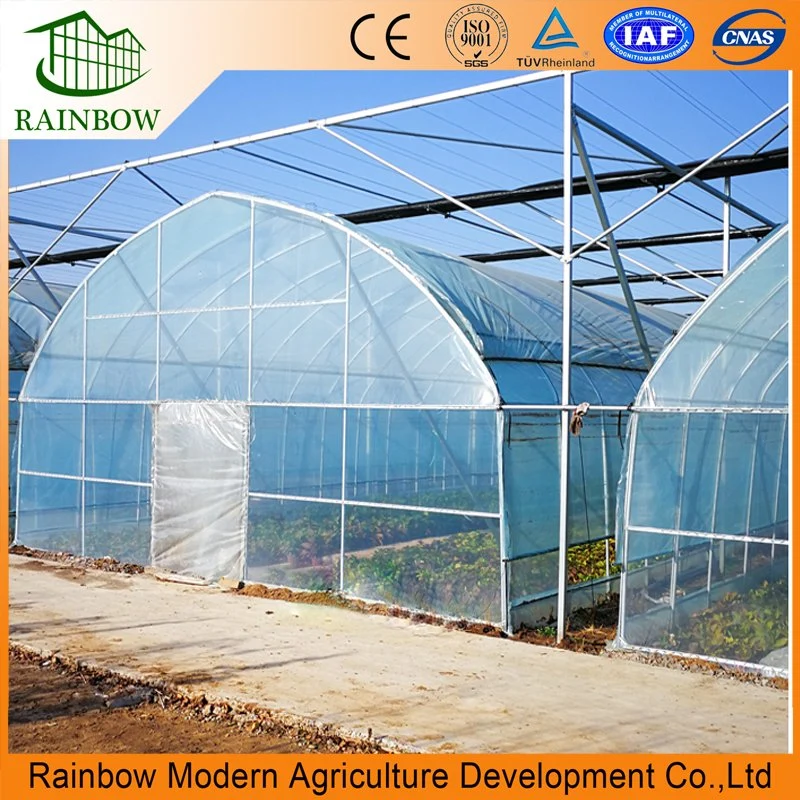 Low Cost Singlespan Film Tunnel Vegetable China Greenhouse with Hydroponics