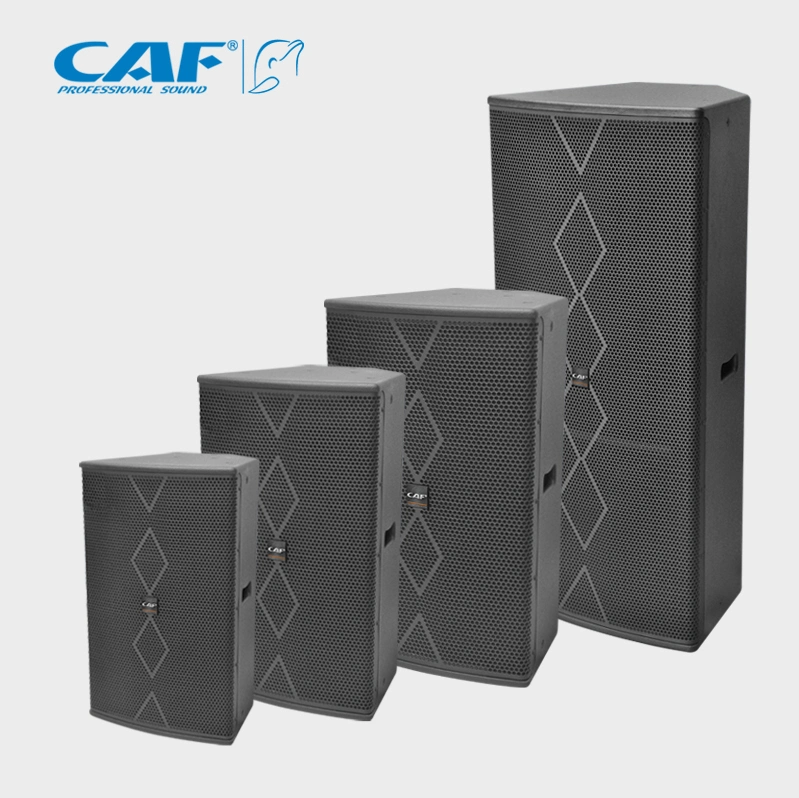 10 Inch Full Range Loudspeaker Performance Professional Audio System Customized Wood