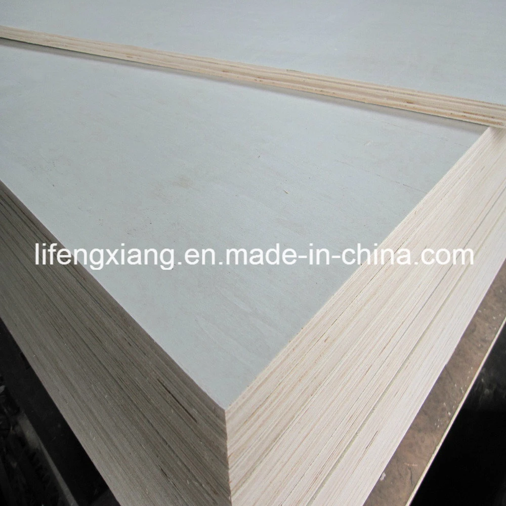 Hot Sale China Poplar Packing Plywood for Pallet and Box with Size of 800X1200mm and 600X800mm