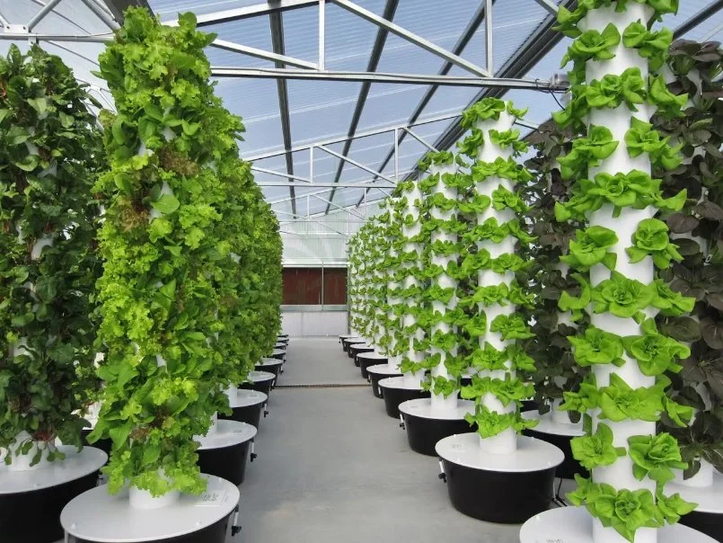 Ананас Тип посадки Aeroponic башни вертикальной системы гидропоники крытый сад