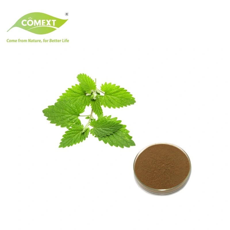 Comext Natural Menthae Heplocalycis Extract Peppermint Leaf Extract 10: 1 Brown Powder Pure Natural and Pollution-Free