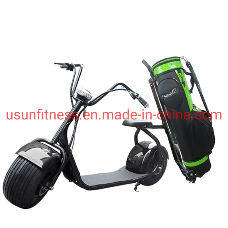 Golf Club Hot Sales 2 Wheels Electric Cars in High Performance Golf Electric Scooter City Coco Fat Tire Tricycle Motorcycle Cargo Scooters for Golf Course