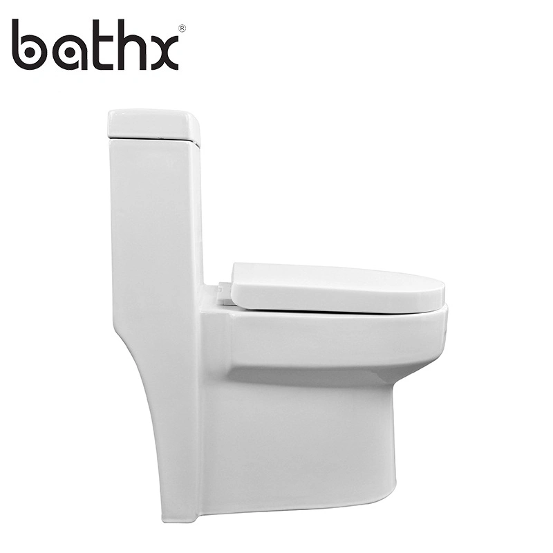 Bathroom Ceramics Sanitary Wares Dual Flushing System with Toilet Seat Water Closet Muslim Fashion Toilet (PL-3812)