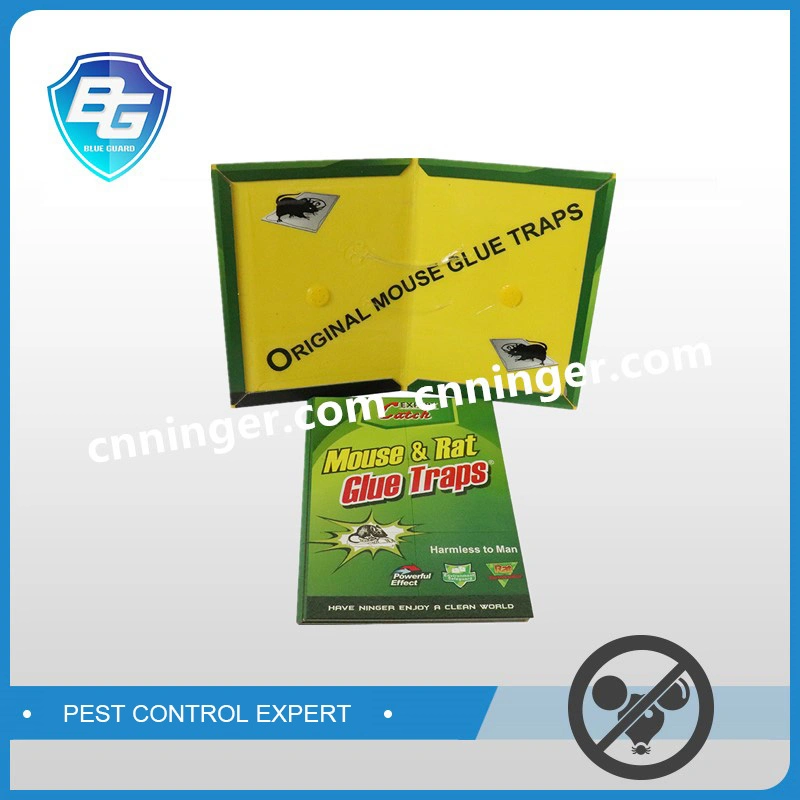 Chine Forte Papier Collant Conseil Rat et Souris Colle Pad Plaque Colle Piège