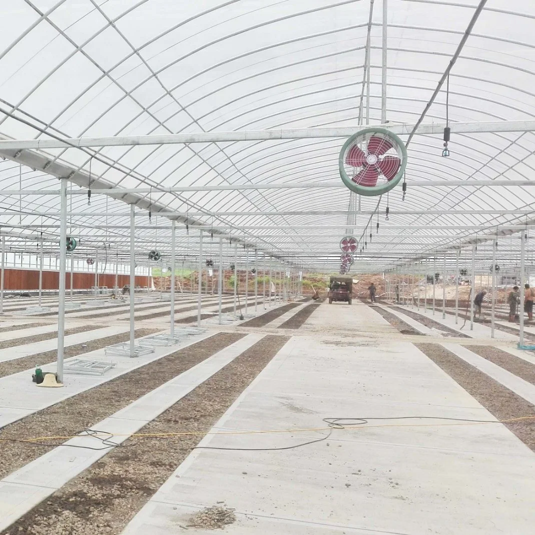 Customized Hot DIP Galvanized Steel Tunnel Hydroponics Vegetables Garden Green House with Shading System