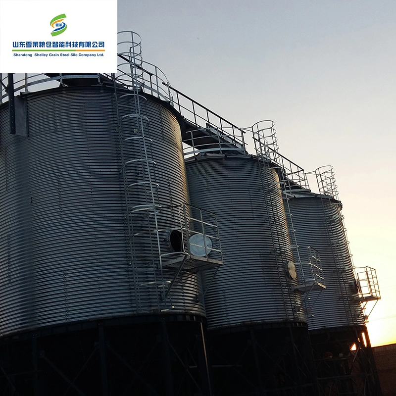 Shelley Feed Storage Silo China Granary Silo Manufacturing Professional Manufacturer وعاء صندوق من الفولاذ المطري أرز بادي القمح الذرة الذرة تخزين سيلو