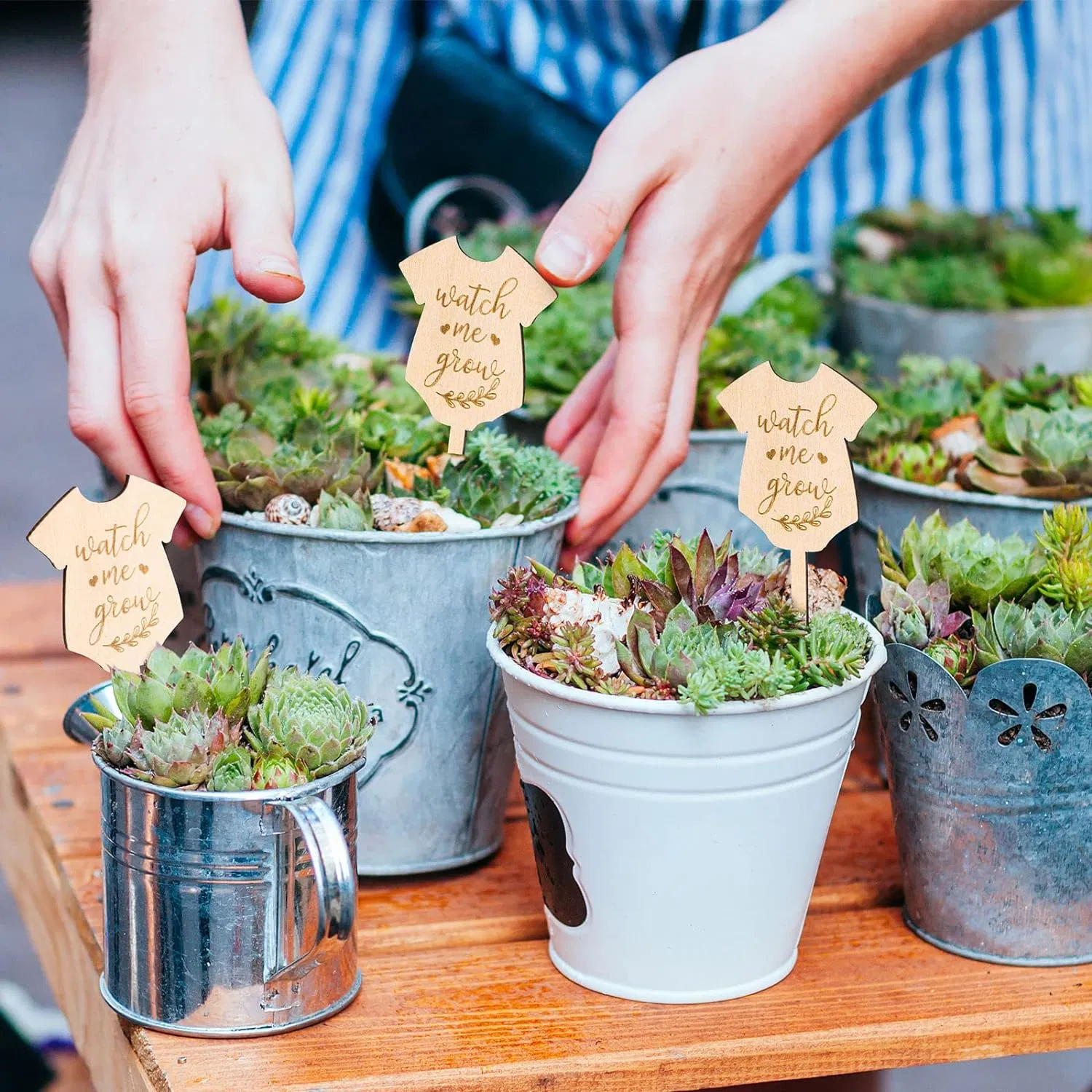 Hermoso Jardín decoración Yard signo Jardín Marca planta signo para Suministros de agradecimiento para maestros de semilla Potted