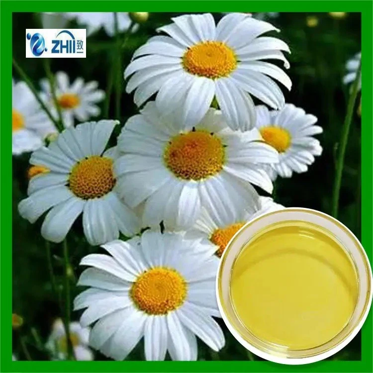 Zhii Natural Pyrethrum Extract Oil 25% 50% 70% Pyrethrin