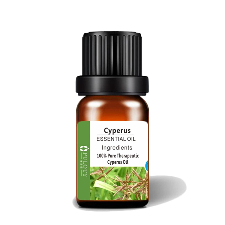 Óleo de Ciperus no Óleo Essencial Óleo de Rotundus Essencial no Extrato Herbal.