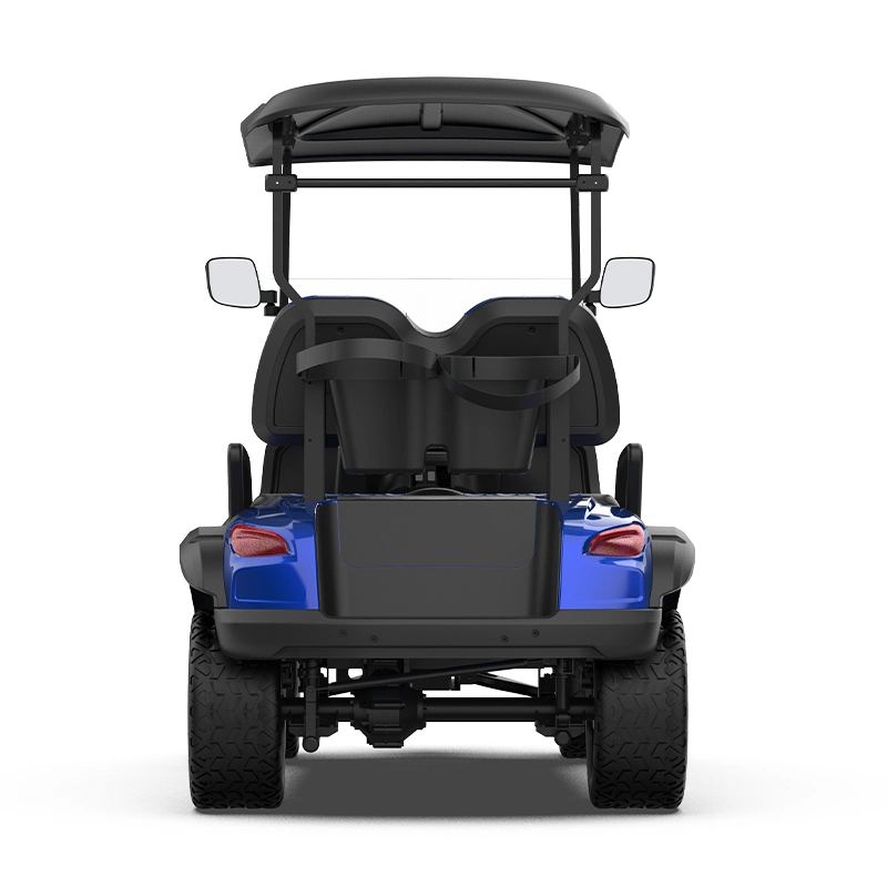 Can Be Cutomized Kinghike Iron Frame, Wrap Film Car Golf Buggy