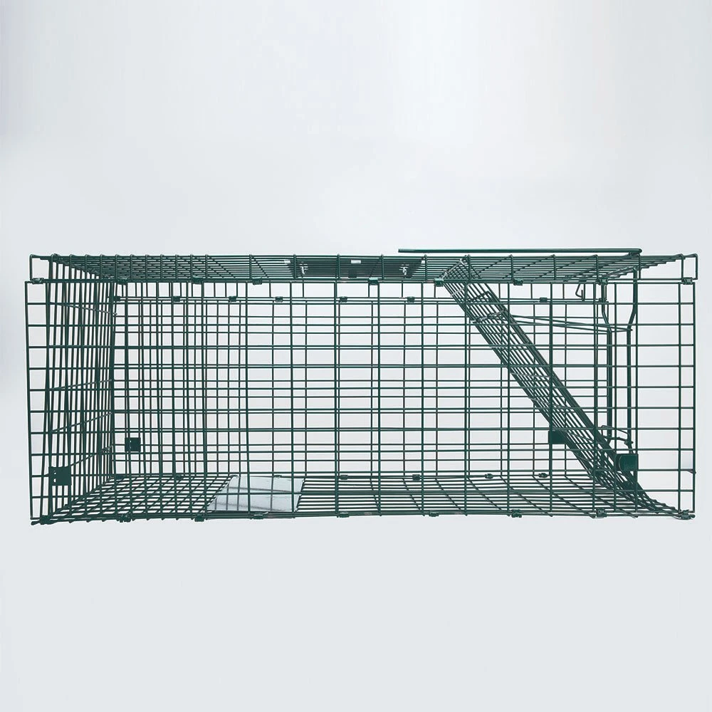 Best Popular Summer Product Animal Trap Wildlife Hunting Trap Cat Cage