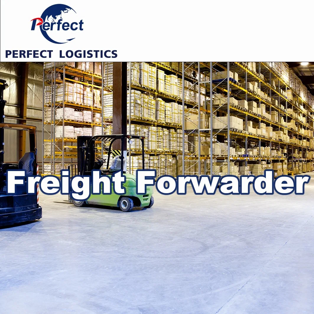 Freight Forwarder Sea Cargo Shipment Service From China to UAE