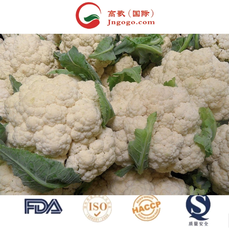 Cauliflower Wholesale/Supplier/Fresh Cauliflower From Vietnam