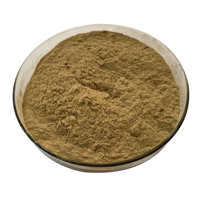 Factory Supply 100% Organic Best Quality Yucca Extract with Yucca Extract Powder, Saponins 30, 60%, 80%