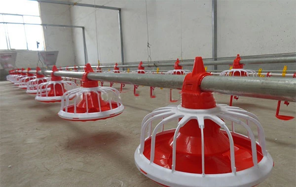 Poultry Farming Equipment Automatic Auger Feeding Line System