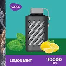 Vozol Gear 10000 Puffs Electronic Tack Mesh Coil Type-C Fast Carregue a caneta de gape descartável recarregável com bateria de 500 mAh
