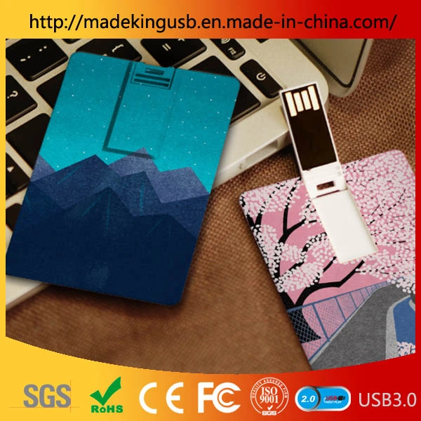 Plastic Both Sides Can Be Printed Bank Card USB Pen Drive/Flash Memory