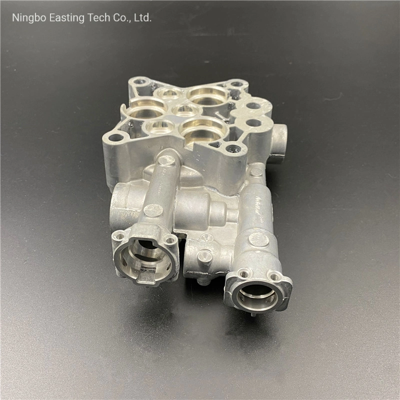 Mould Design Precise Aluminium Die Casting Parts with Burring for Cleaning Machine Pump