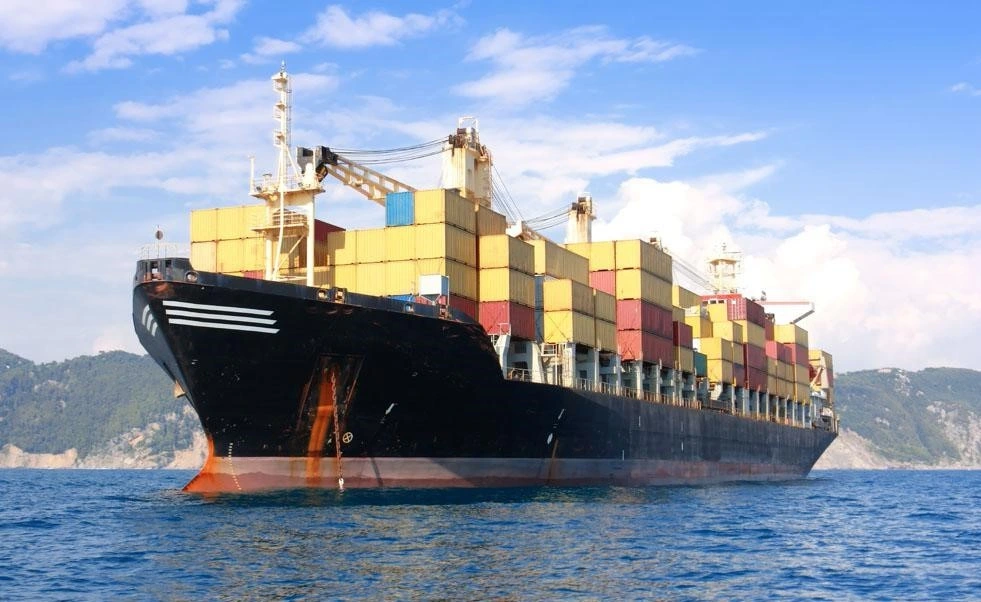 FCL DDP Shipping Sea Freight Ocean Shipping Sea Transportation From Shenzhen to La Guaira, Venezuela