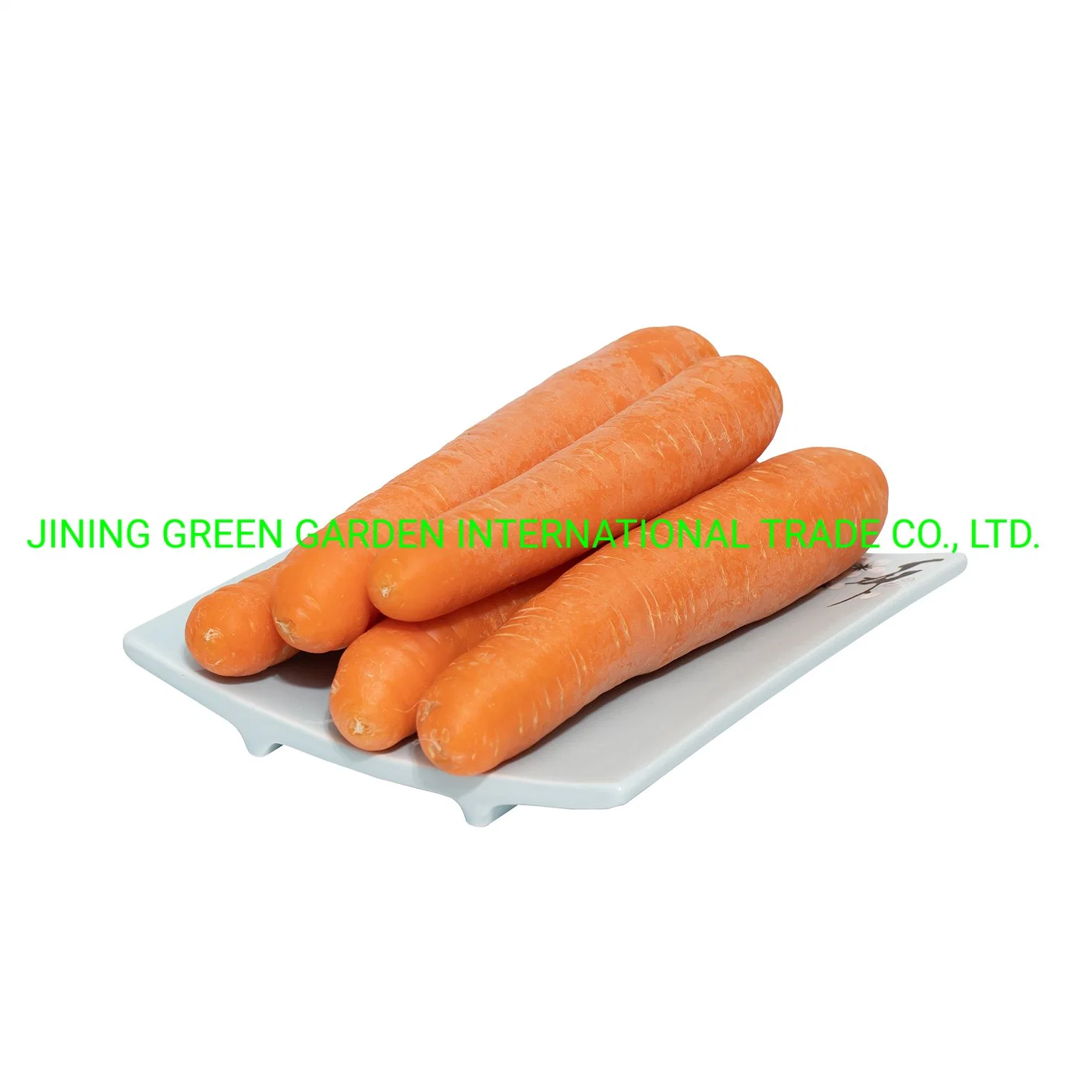 2022 نيو Crop Fresh Carrot Long Shape Clean and Sweet مطعم تيكزكور كاروت كاروت جيد الجودة مطعم كارروت الصين ببغاء طازج عينة مجانية من السعر المنخفض عالي الجودة