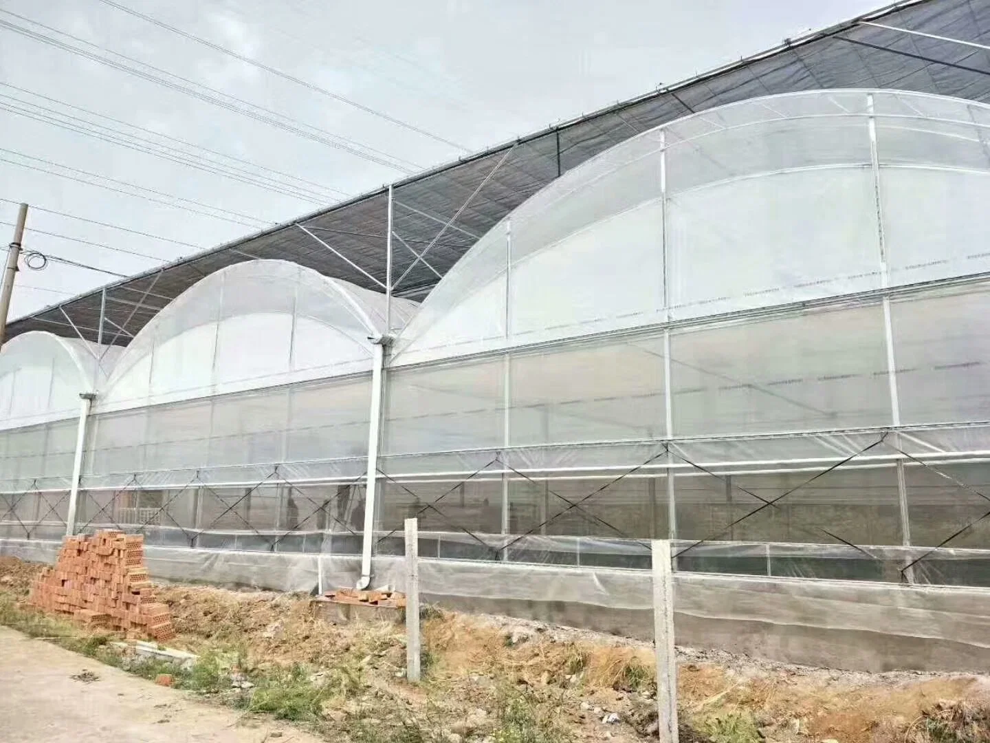 Hochtunnel Film bedeckt Tomatengewächshaus mit Schatten Net Agricultural Grüne Häuser