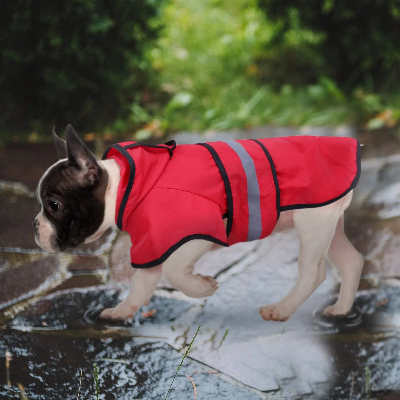 Dog Raincoat pelos melhores fontes de PET