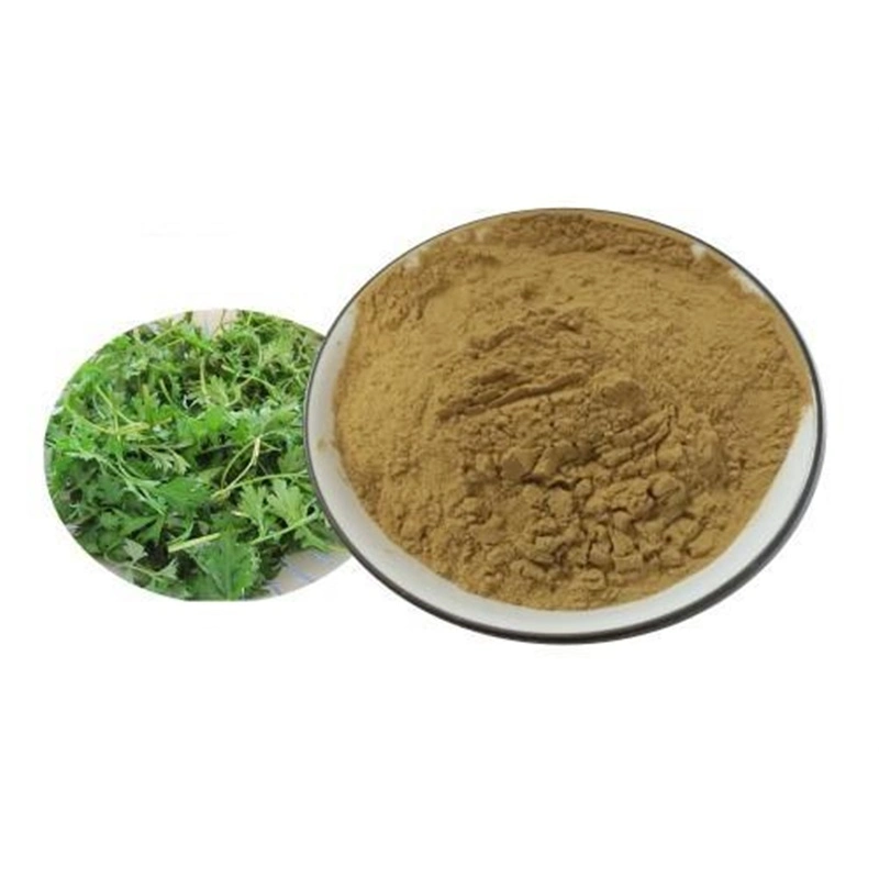 Top Grade Natural Moxa Leaf Extract folium Artemisiae Argyi /Mugwort Листовой аий порошок