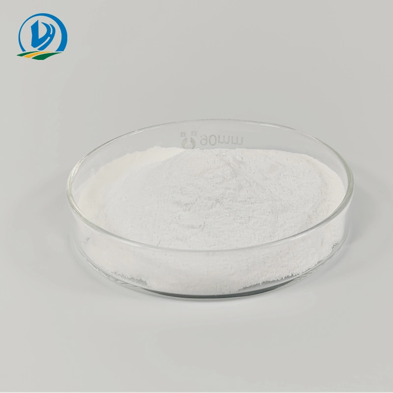 Ampicillin Sodium Soluble Powder with GMP Certificate