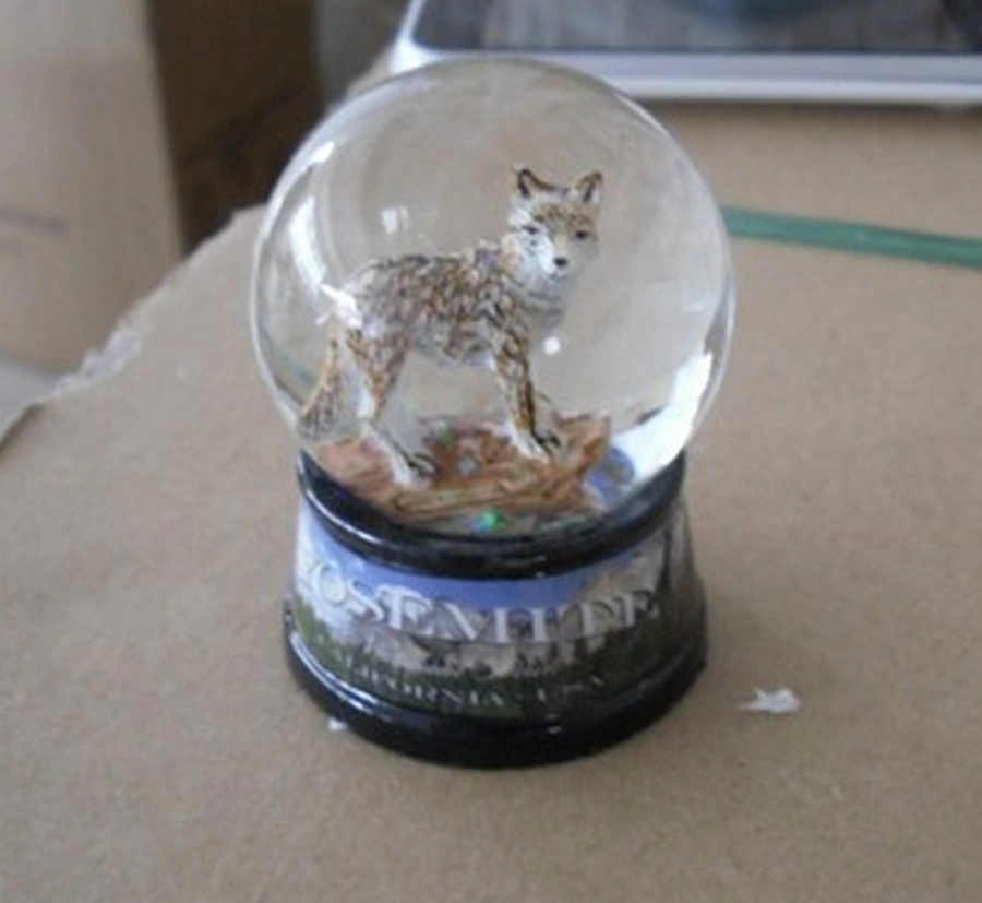 Polyresin Snow Globe Water Globe with Photo Insert Base with Printed Sticker