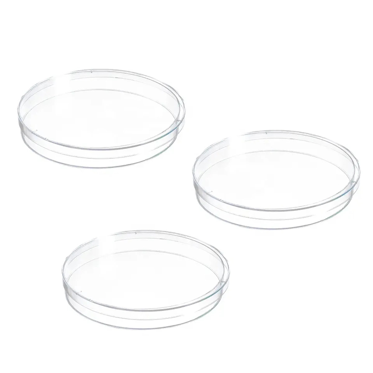 Plastic PS Laboratory Disposable 35mm 90mm 100mm 120mm 150mm Culture Plate Petri Dish for Cell Culture