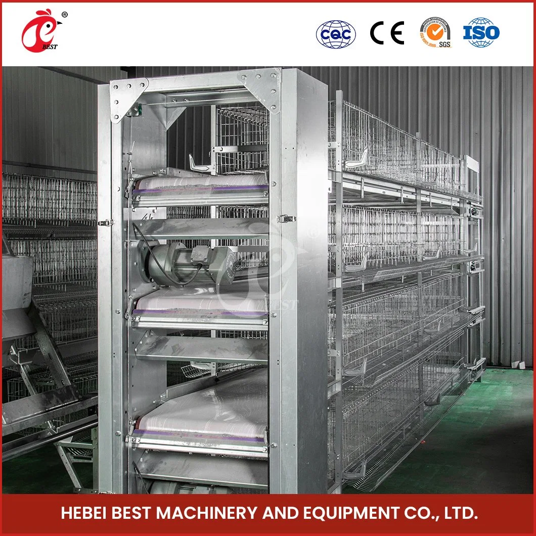 Bestchickencage H Type Young Hen Coop Breeder Cage China Storage Shed Baby Hen Coop Factory OEM Custom High-Accuracy 4X8 Pullet Hen Chicken Coop for Sale