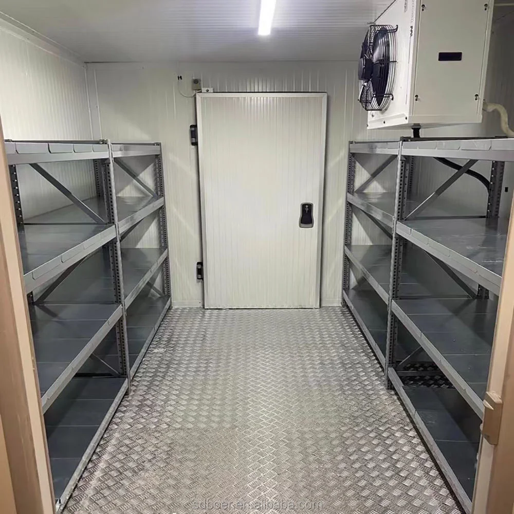 Cold Chain Equipment Cold Room Storage for Vegetable Chambres Froides