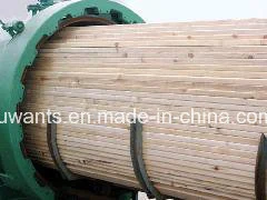 Las plantas de tratamiento de impregnación madera Madera Lignum Equipo Autoclave anticorrosión