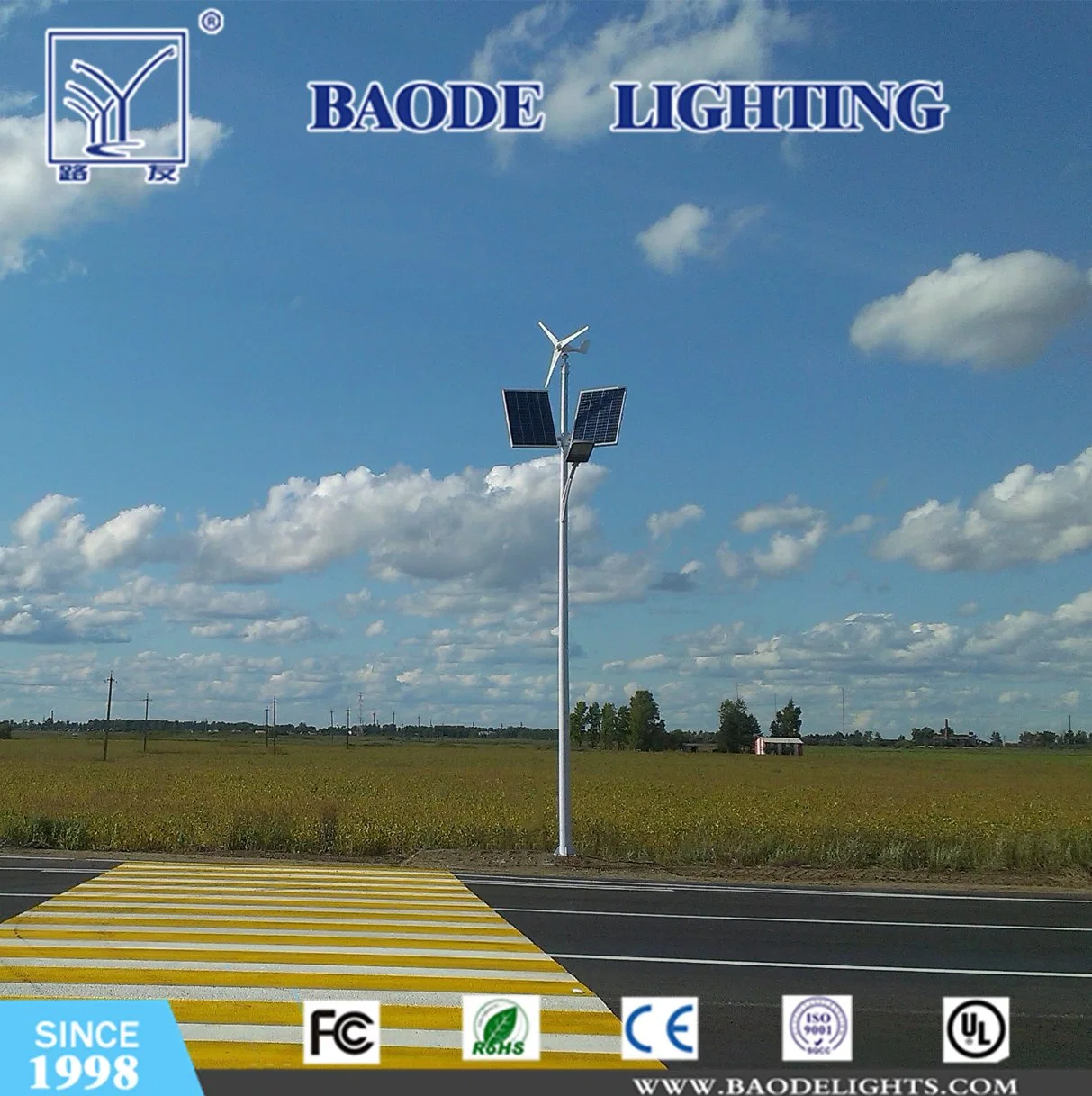 Galvanized Conical 8m Solar LED Street Lighting/Light Lamp Pillar/Post (DG-8)