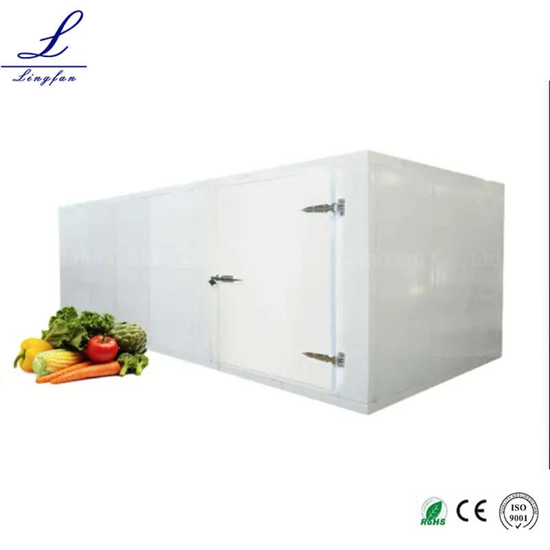 Cold Storage Room PU Insulation Panel 120mm Thinckness Low Temperature Walk in Freezer for Slaughter House