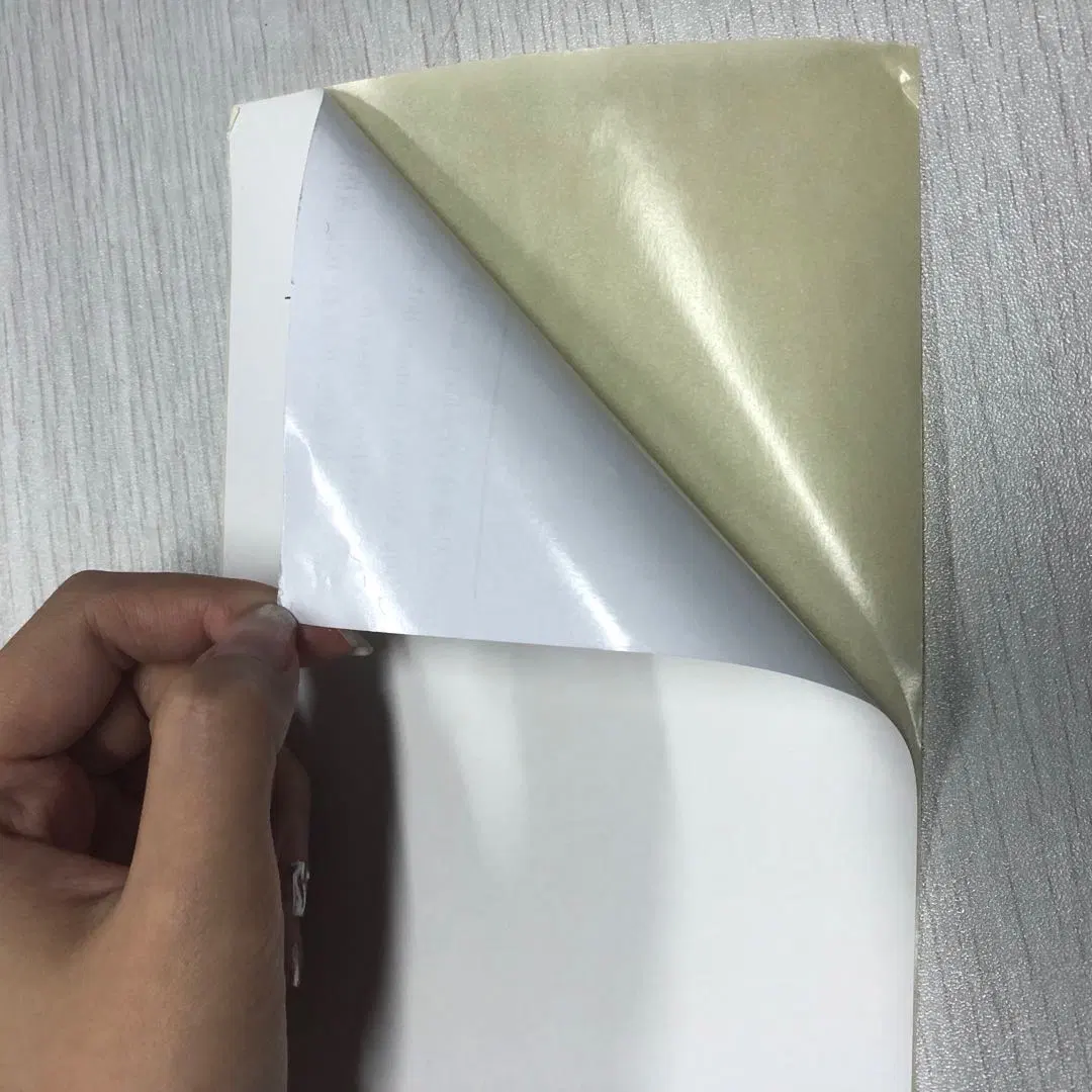 PVC Printing Adhesive Labelstock / Kraft Paper