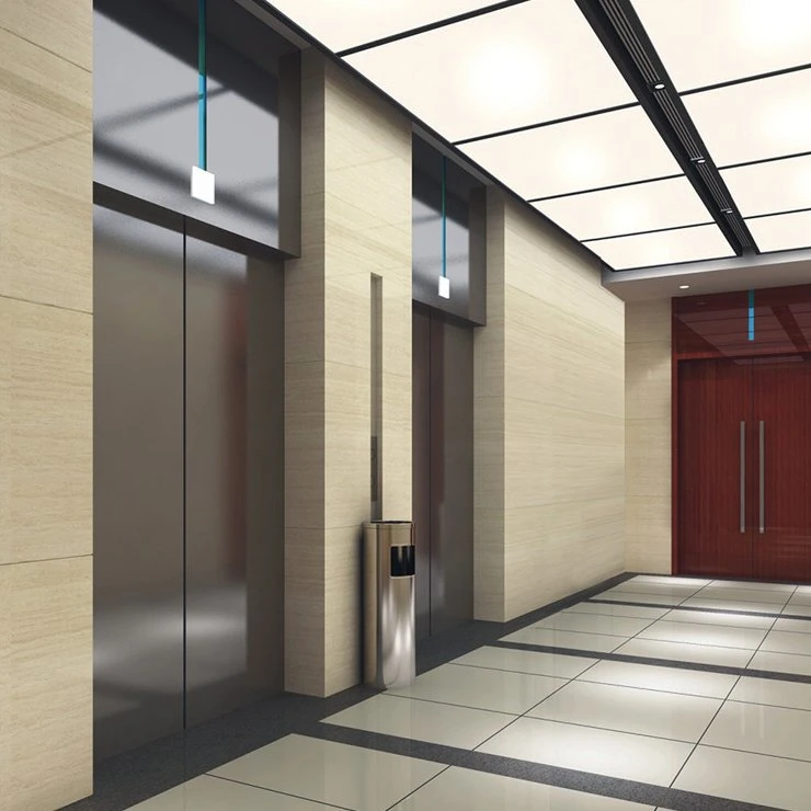 Centre Open or Side 1.00-2.50m/S Hongmen Home Elevator Price Lift