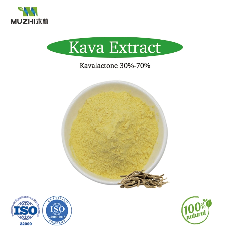 Extrato de kava em pó à base de plantas naturais