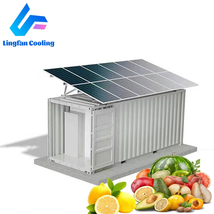 Armazenamento de carne e legumes caminhada em congelador Solar Powered Cold Quarto