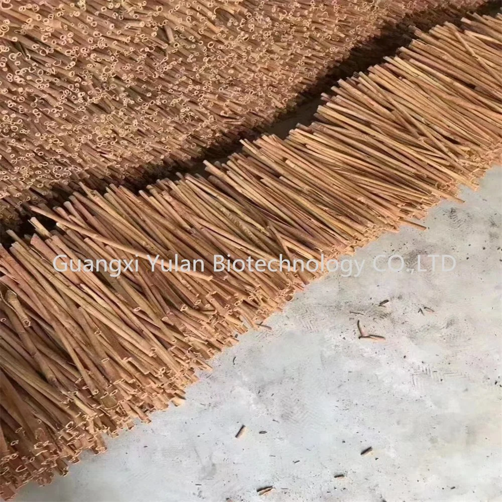 Factory Bulk Dry Cinnamon Stick 100% Natural Organic Cassia Spices