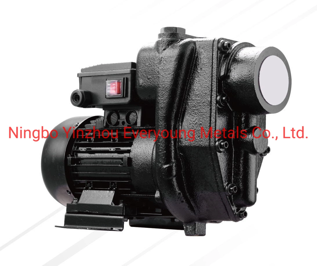 E300 500L/Min High Flow AC Diesel Transfer Pump 230V Electric Fuel Transfer Pump