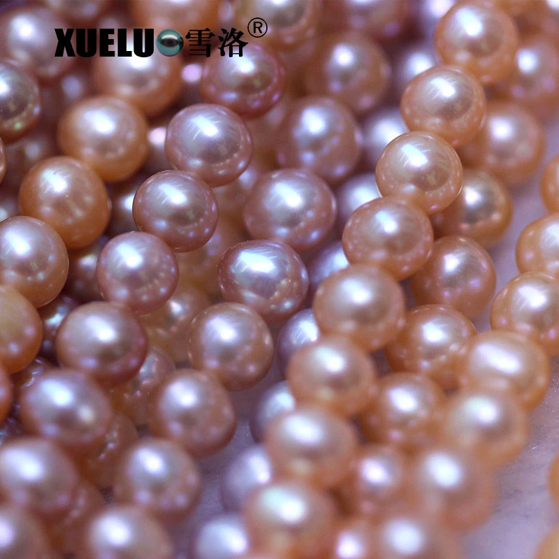 5-6mm Round AA+ Grade Medium Quality Natural Cultured Fresh Water Pearls Wholesale/Supplier (XL180091)