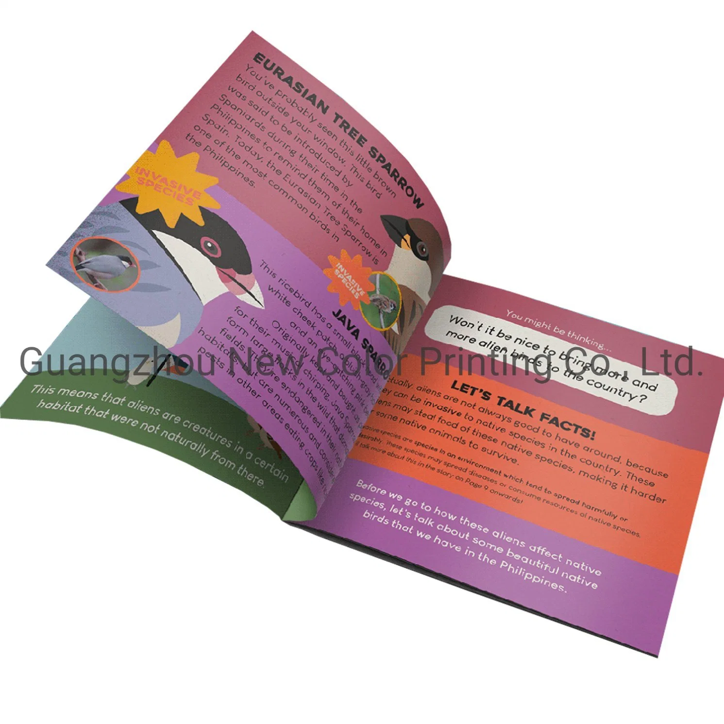 Rolling Paper Binder Booklet Manual Leaflet Printing