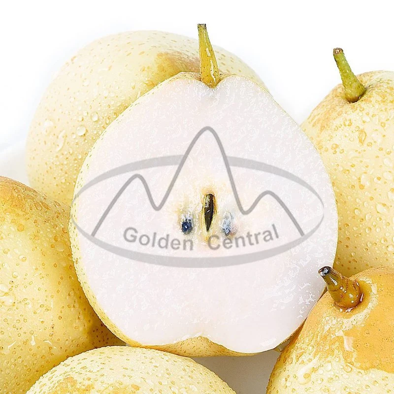 أفضل الأسعار بيع Ya Pear الصيني الطازج على العالم