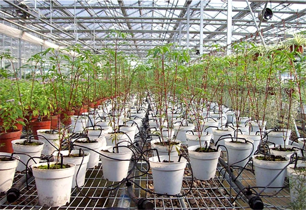 3mm Agricultura de jardín sistema de riego por goteo de invernaderos Botador de flecha de curva