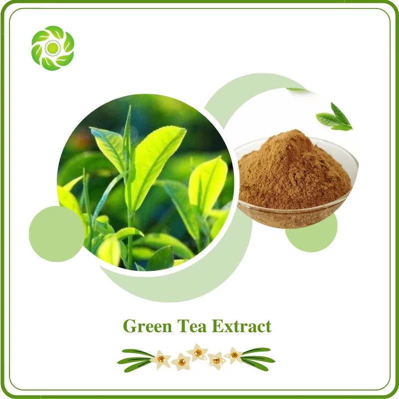 Green Tea Extract Factory Direct Supply 10-98% Tea Polyphenolss EGCG 40-70% Catechins Weight Loss Cosmetics Feed Additives Instant Tea Powder